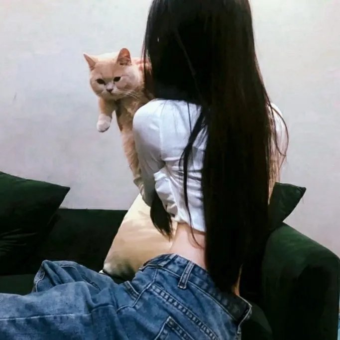 最后的独角兽